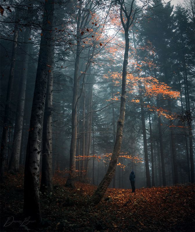 Pieniny Mountainsphoto preview
