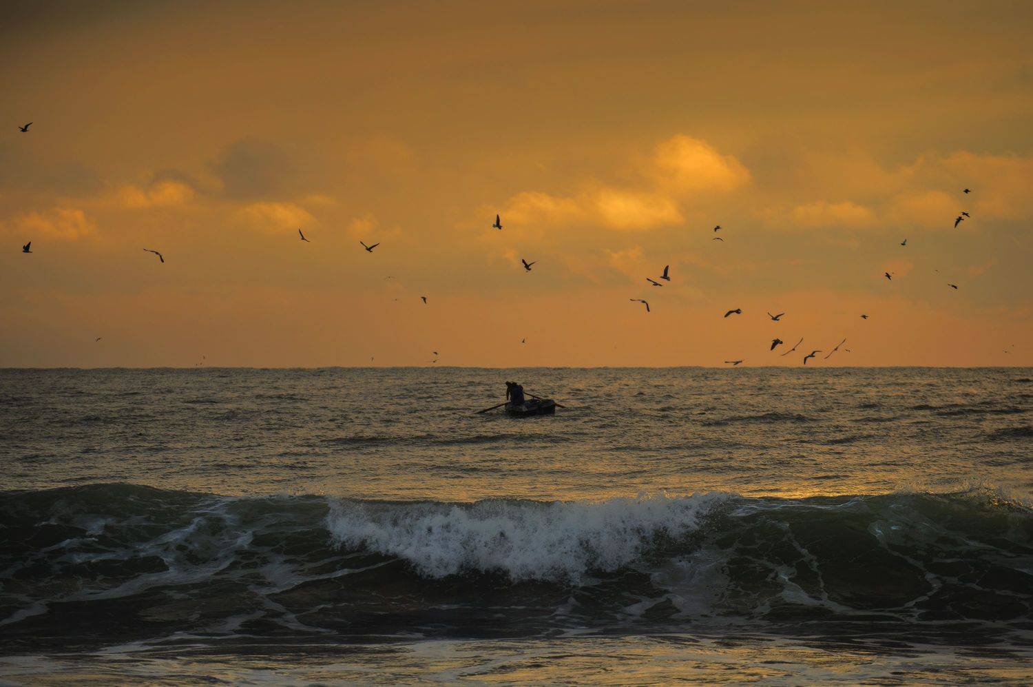 fishing time, landscape, sea, boat, fish, seagull, sunset, horizon, catch, travel, travel photography, photograhpy, ირაკლი დოლიძე