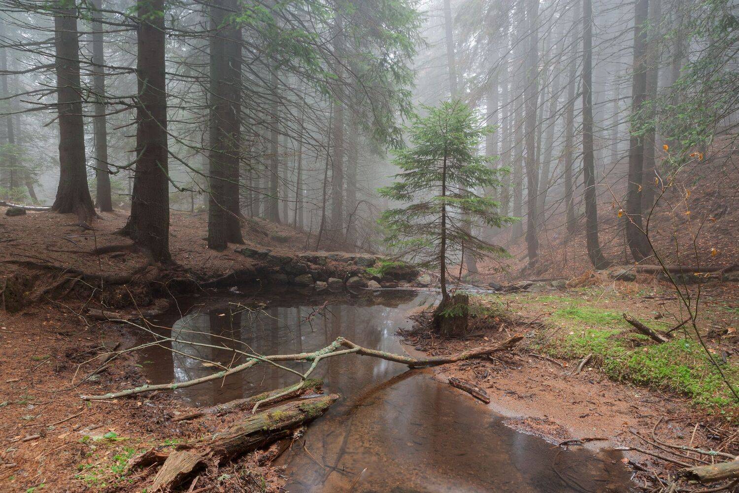Автор: Александър Сандев , Александър Сандев