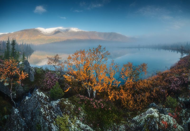 россия, мурманская область, кольский полуостров, ловозеры, заполярье, осень, природа, пейзаж, лесотундра, осень, рассвет, отражение, озеро, туман Туманное Заполярьеphoto preview
