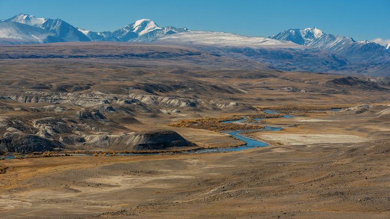 алтай, республика алтай, чаганузун, река, чуйская степь, полупустыня, тополя, осень Pro магию долины Чаганузунаphoto preview