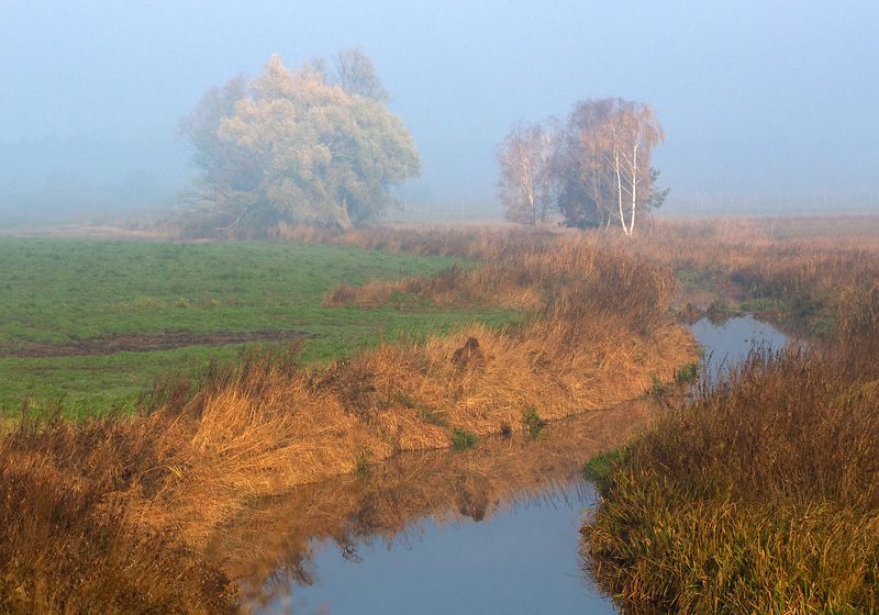 autumn moods...photo preview