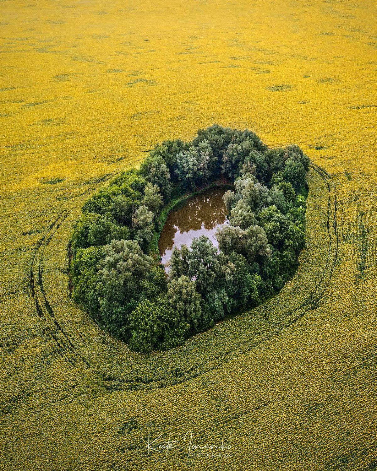 , Екатерина Ионенко