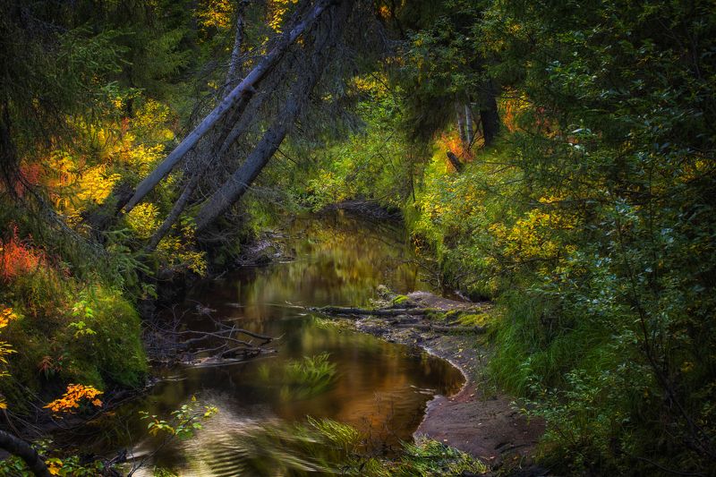 осень пейзаж север Осень на Севереphoto preview