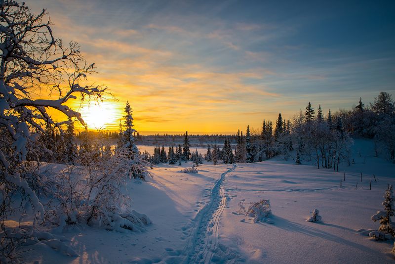пейзаж север зима мороз закат Лесная сказкаphoto preview