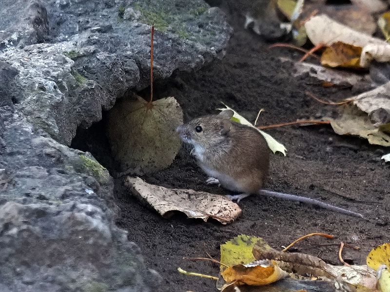 в нерешительности фото превью