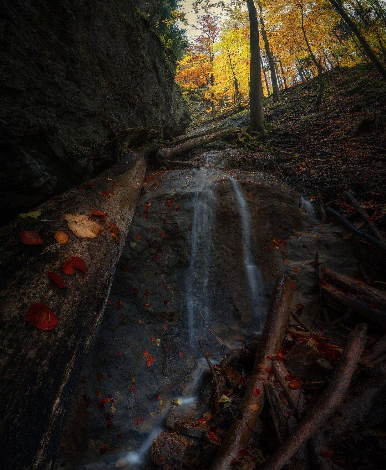 Slovakia paradise . Автор: Erik Baran , Erik Baran
