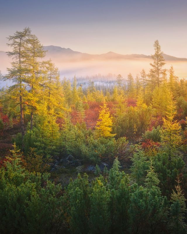 осень, колыма, озеро джека лондона Стоозерка под пологом туманаphoto preview