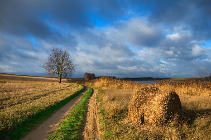 in the november sunshine...photo preview