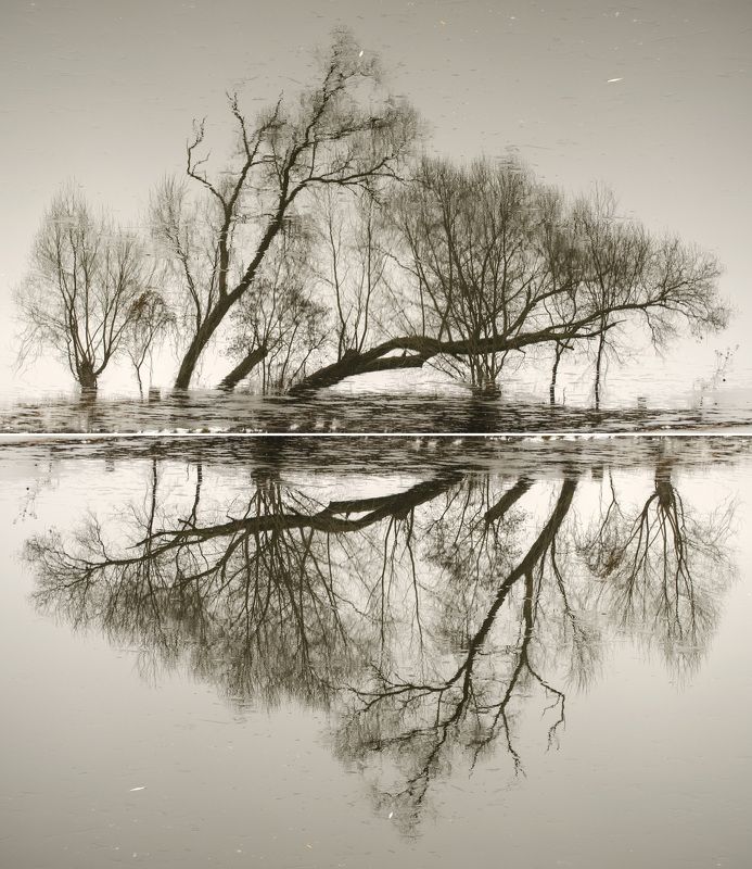 пейзаж, озеро, вода, отражение, дымка, природа, абстракция, силуэт Фантасмагорияphoto preview