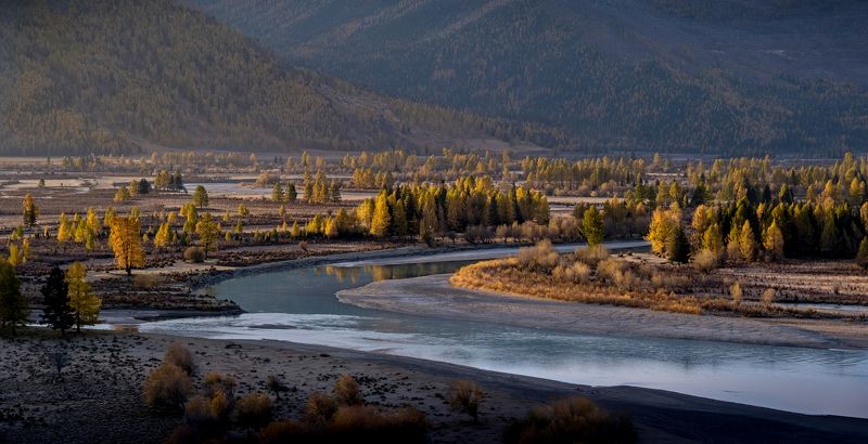 алтай, река, осень, утро, джазатор, river, autumn, morning, нд, фототур на алтай, золотой алтай нд, золотой алтай Однажды осенним утром...photo preview