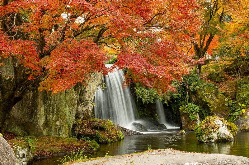 waterfall,nature,autumn,tree, Waterfallphoto preview