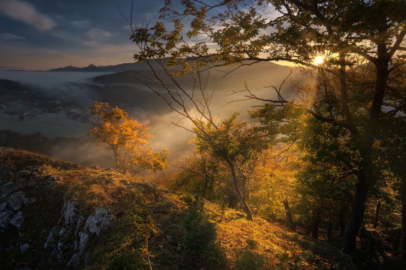 Morning raysphoto preview