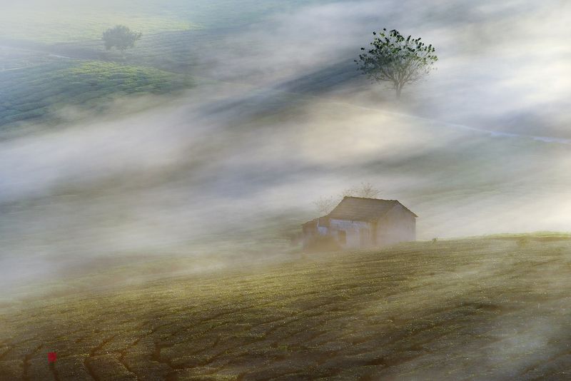 Foggy seasonphoto preview