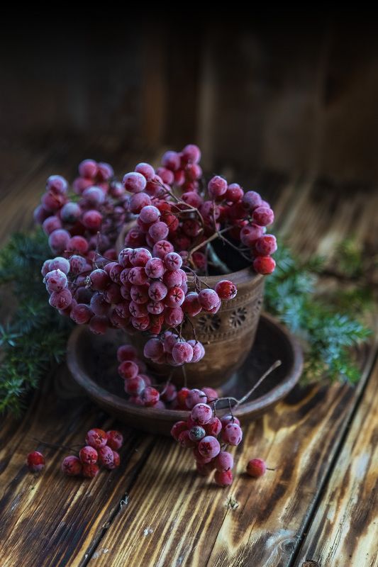 рябина, натюрморт, студия, осень Зима на носуphoto preview