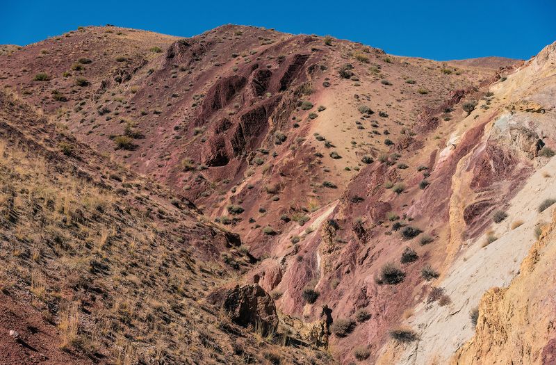 марс, марс 1, марсианские горы, алтай, республика алтай, чаганузун, кызылчин, река, чуйская степь, осень Pro Марсианские горы Алтая (2)photo preview