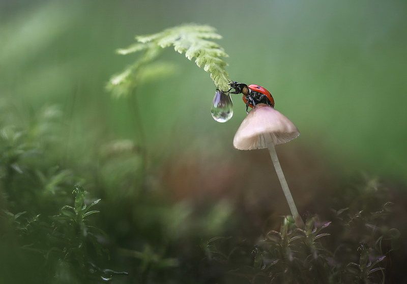 Утро нового дняphoto preview