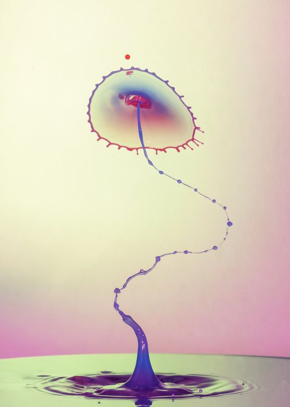 waterdrop,abstract,liquid,art,macro,photography,splash,drop,light,color windy dropsphoto preview