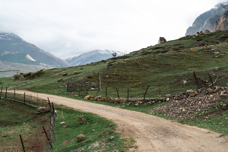 Жизнь среди горphoto preview