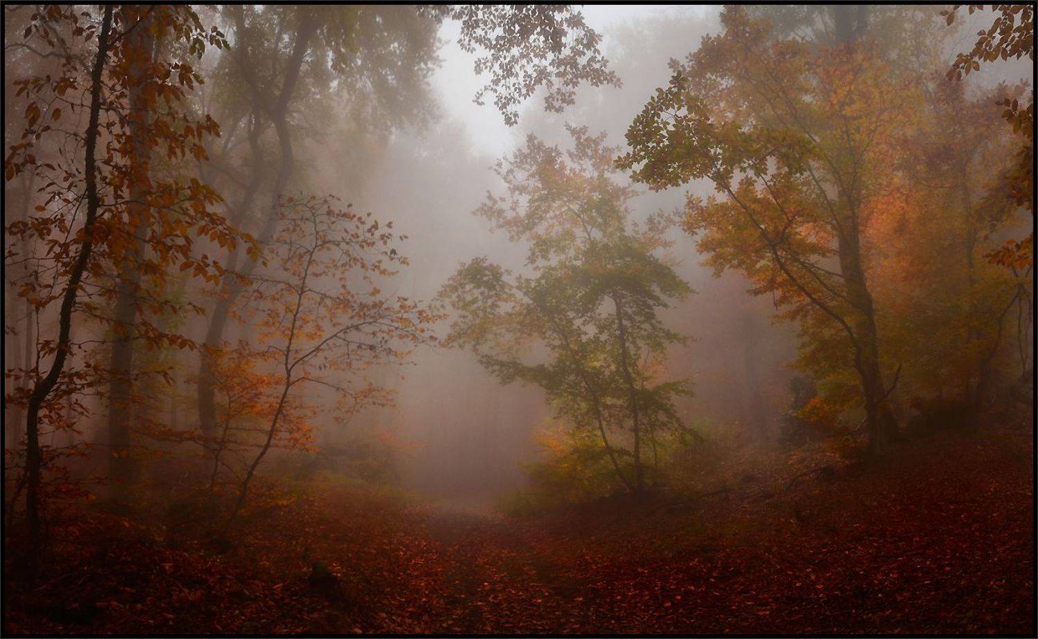 Автор: Владимир Метцгер , Владимир Метцгер