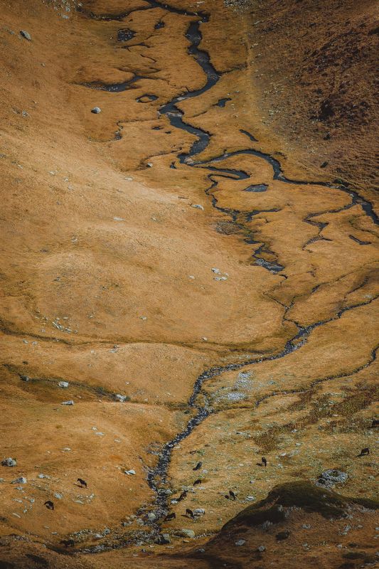 nikon d610,nikkor 200-500/5,6 Rila mountin,Bulgariaphoto preview