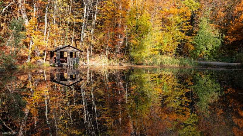озеро, рассвет, крым, россия, пейзаж Озеро с черепахами. Ай-Петри фото превью