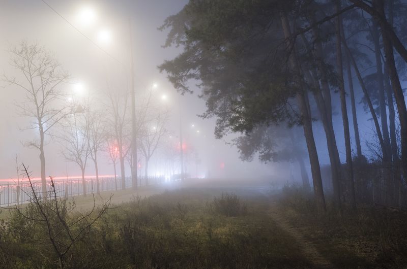 туман город лес Когда город накрывает туманphoto preview