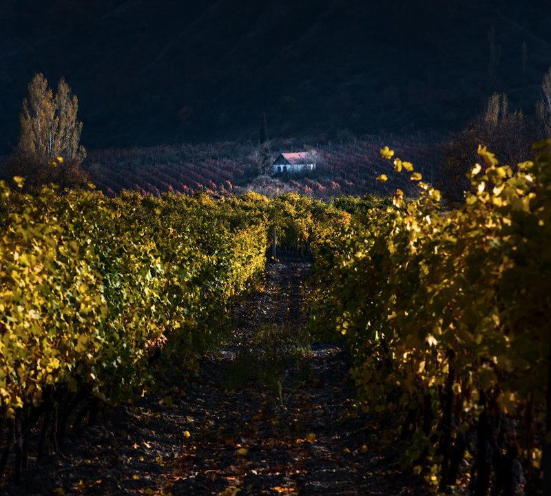 настроениеphoto preview