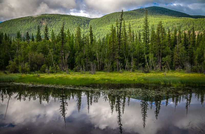 Вдоль Чуйского трактаphoto preview