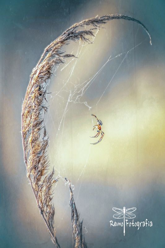 Zawieszony Flo. photo preview