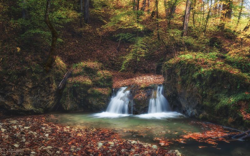 мишоко У осеннего порогаphoto preview