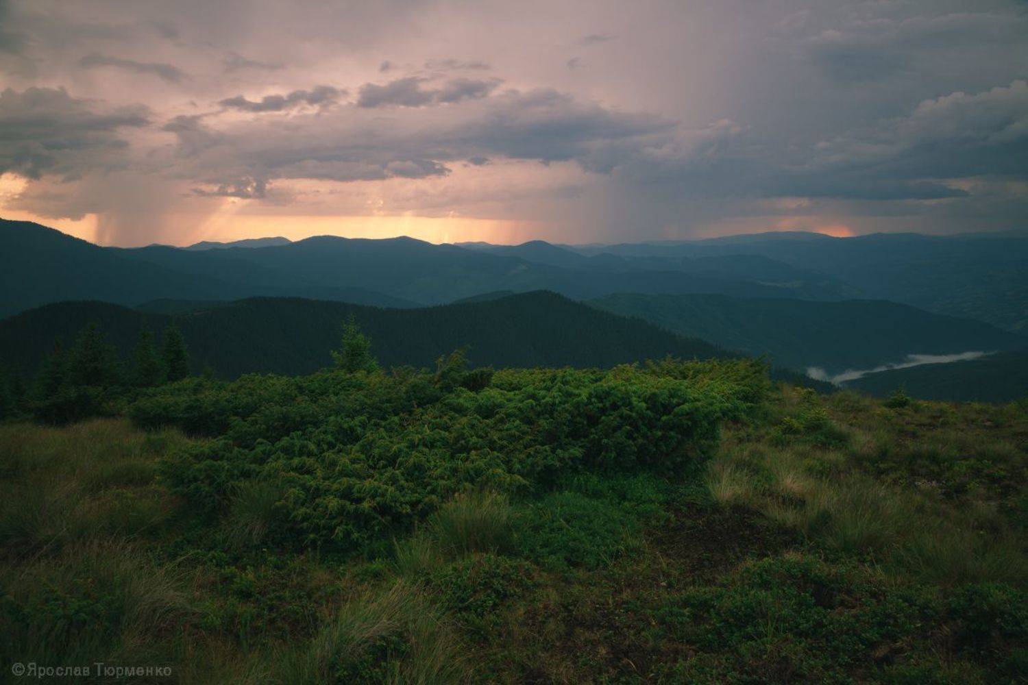 , Ярослав Тюрменко (Jaremi)