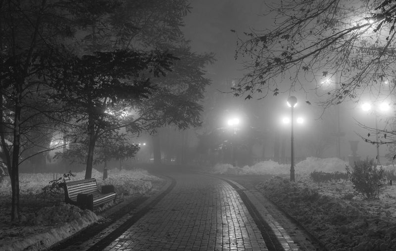 город парк лес туман платан ночное фото Туман холодный обнимает городphoto preview