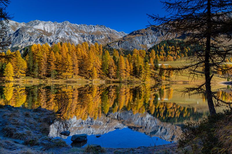 lake, palpuogna, switzerland, reflection, nature, landscape, autumn, water, colorful Great Reflectionphoto preview