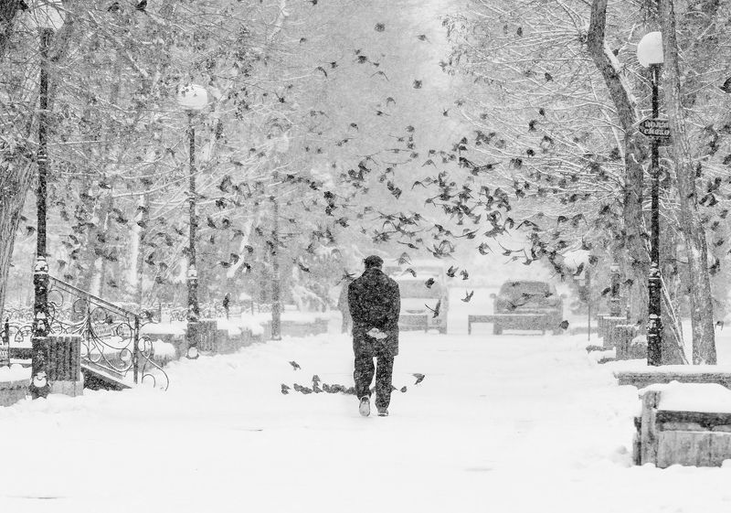 Зимние размышленияphoto preview