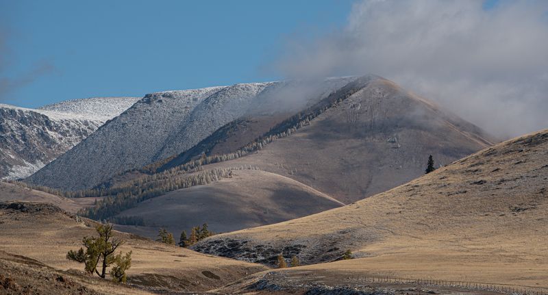 landscape photo preview