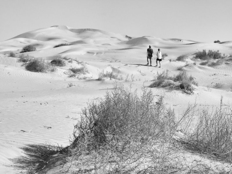 Black and white, Monochrome, Landscape, Russia, Astrakhan  In the midday heat фото превью