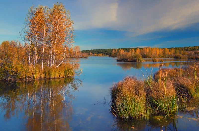 Осень в наших местахphoto preview