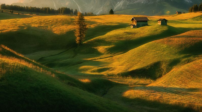 Meadows...photo preview