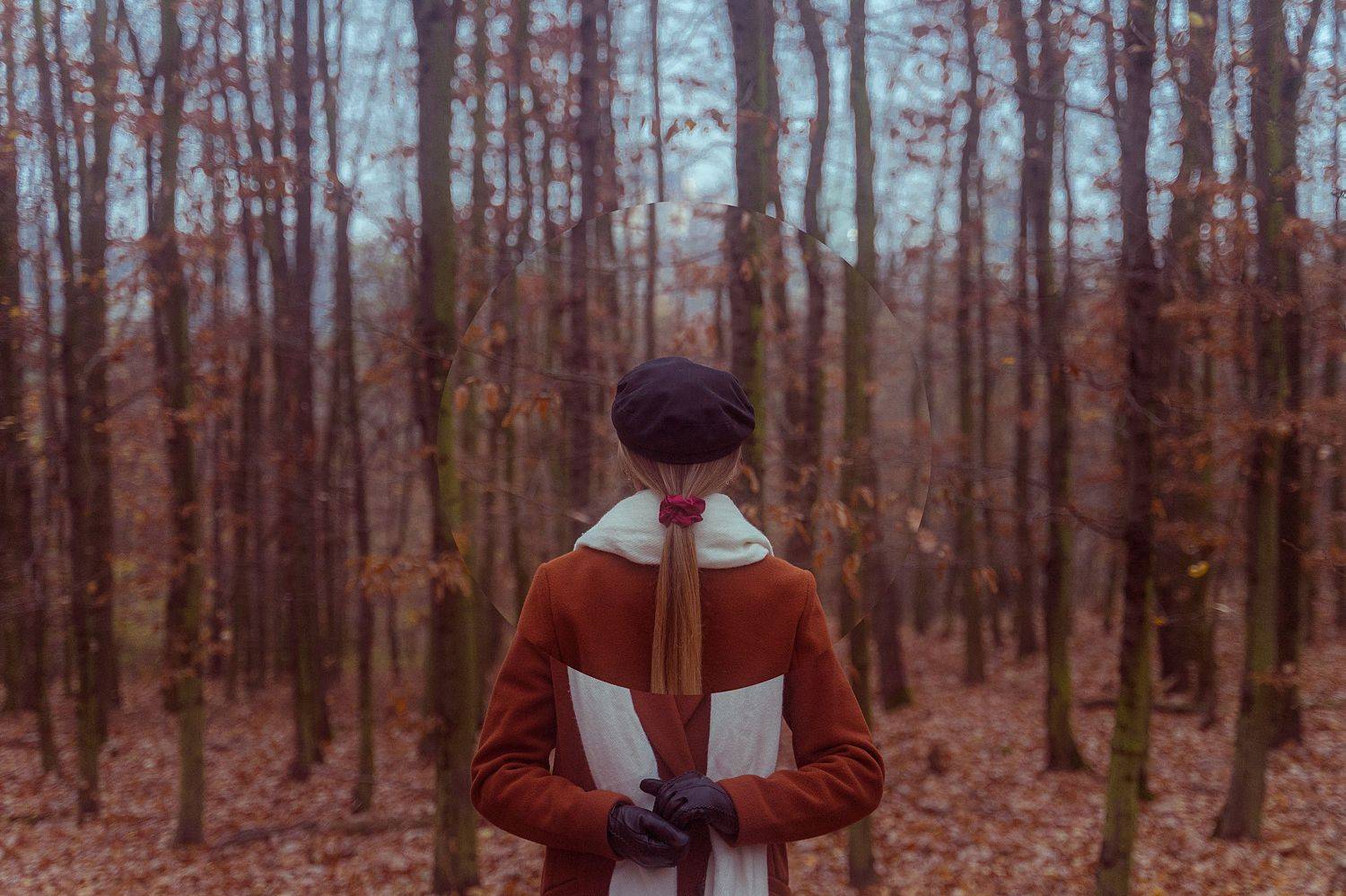 Автор: Николай Лебедев , Николай Лебедев