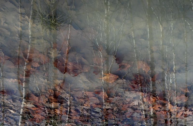 Осеньphoto preview