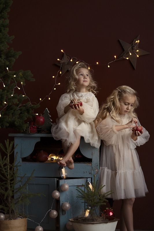 новый год, гранат, елка новый годphoto preview