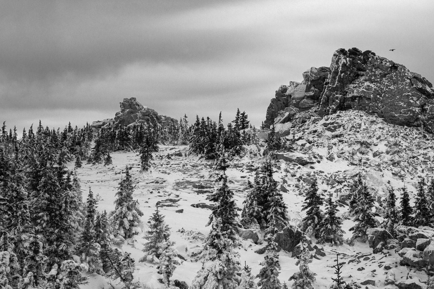 *******. Автор: Андрей Шарапов , Андрей Шарапов