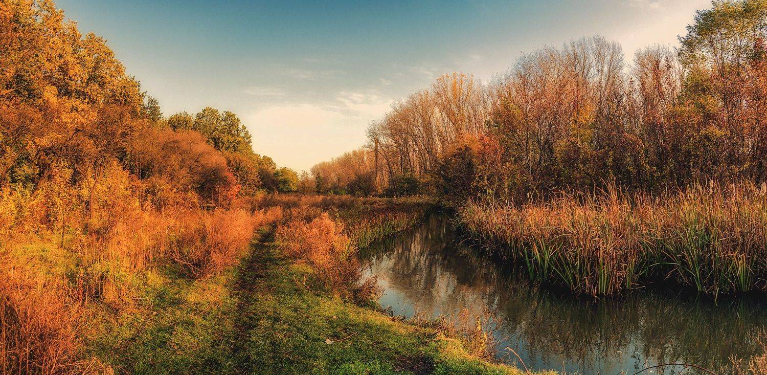 , Игорь Мелекесцев