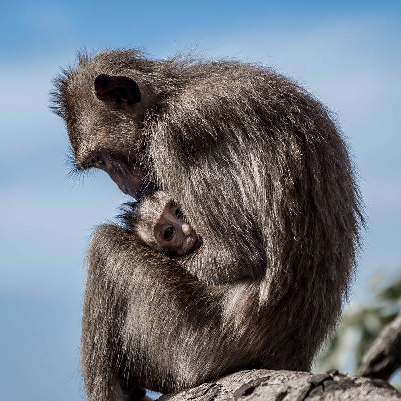 Мамина заботаphoto preview