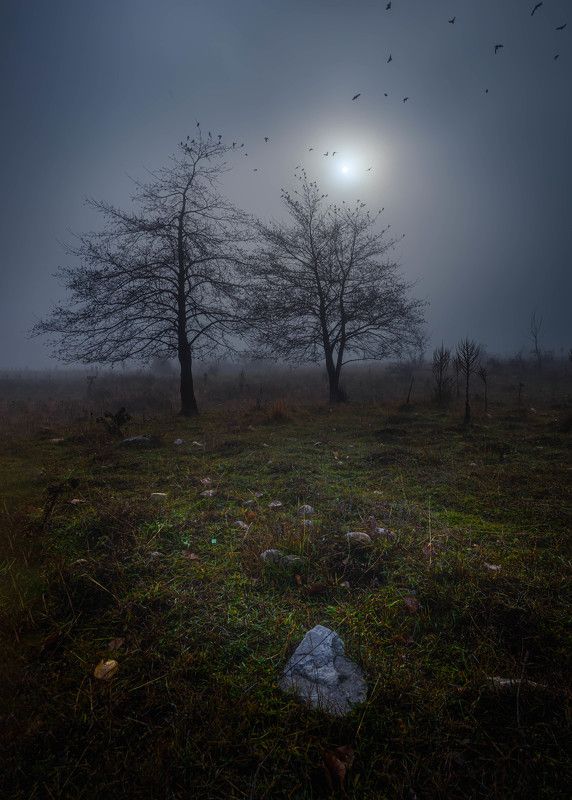 #landscape#nature Silencephoto preview