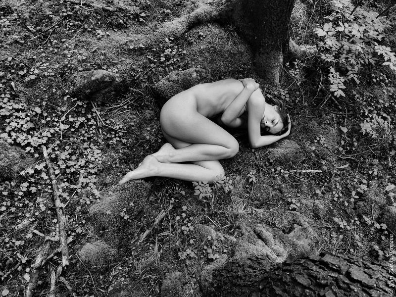 Reborn фото превью