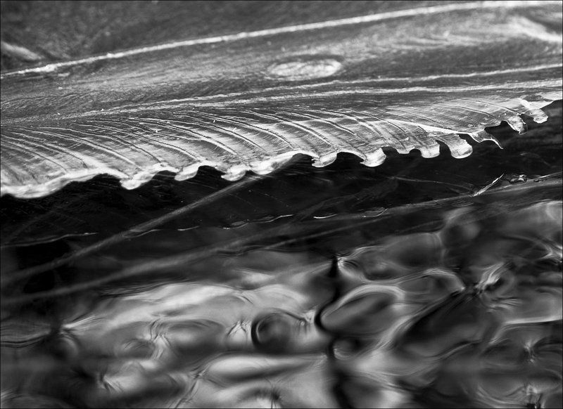 winter coldphoto preview