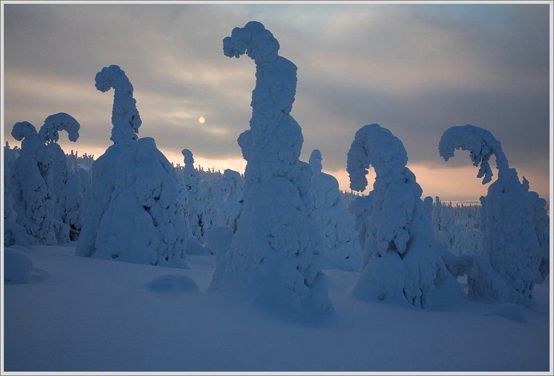 В Царстве Снежной Королевы(2).photo preview