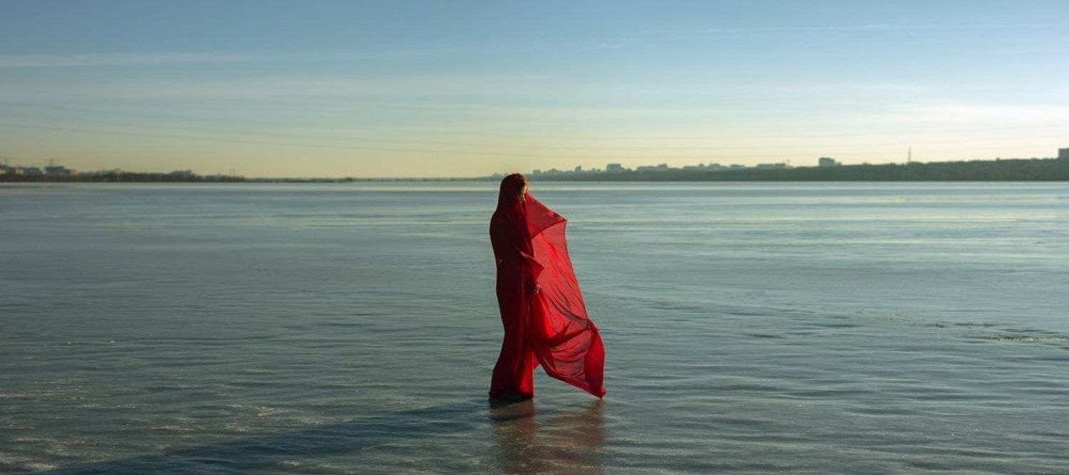 ***. Автор: Меркулов Антон , Меркулов Антон